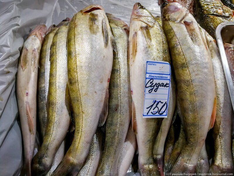 Где Дешевле Купить Рыб Сомов В Нальчике