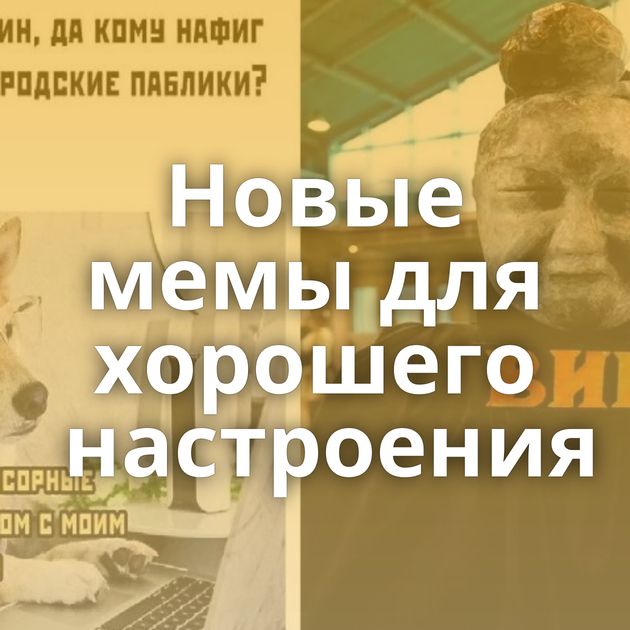 Новые мемы для хорошего настроения