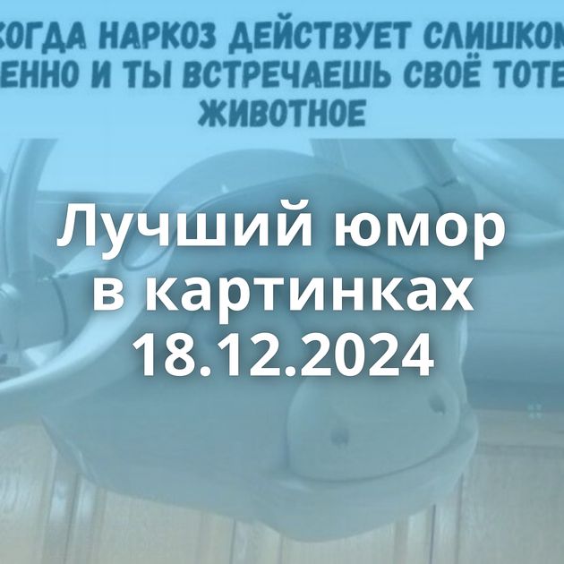 Лучший юмор в картинках 18.12.2024