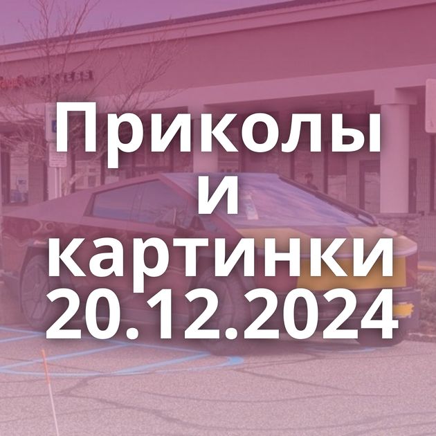 Приколы и картинки 20.12.2024