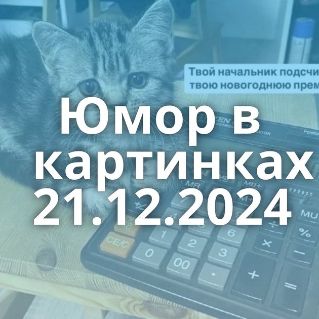 Юмор в картинках 21.12.2024