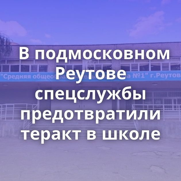 В подмосковном Реутове спецслужбы предотвратили теракт в школе