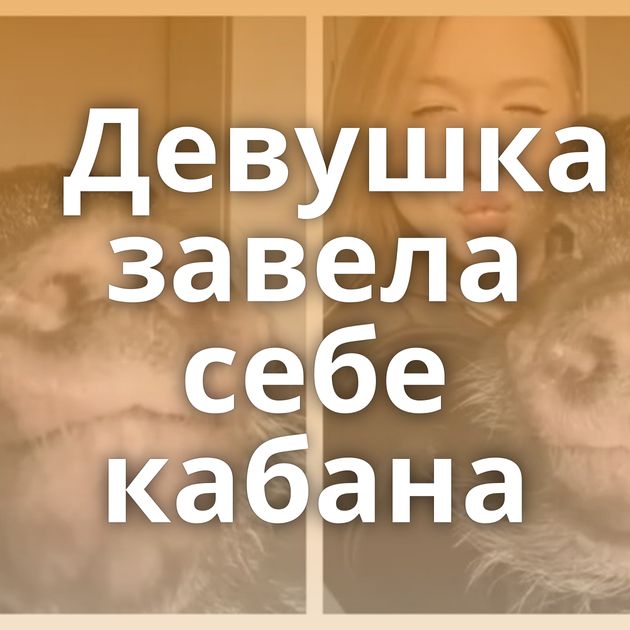 Девушка завела себе кабана