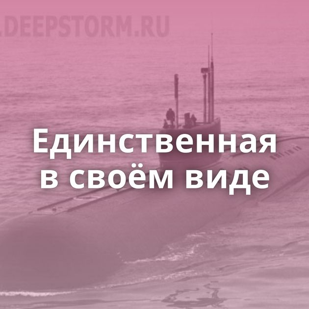 Единственная в своём виде