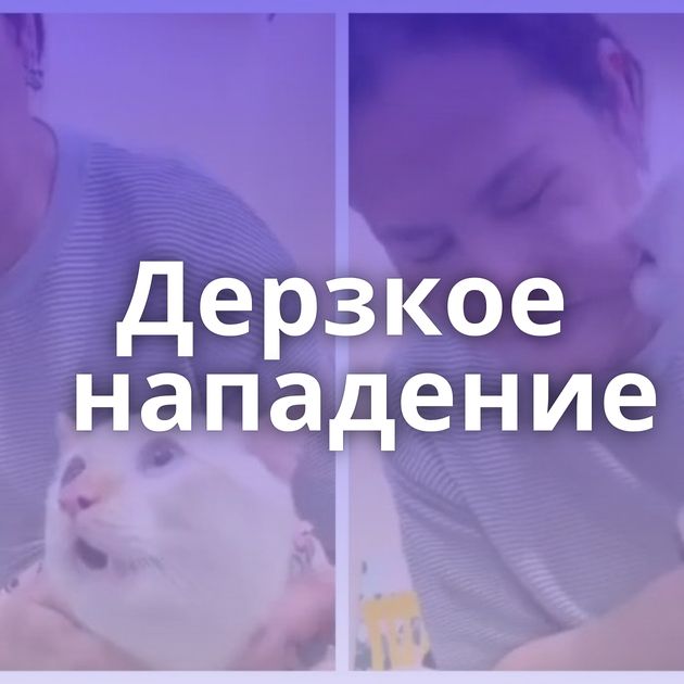 Дерзкое нападение