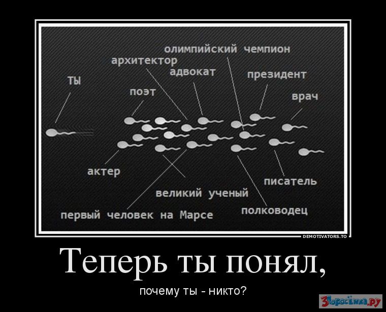 Сделать картинку демотиватор