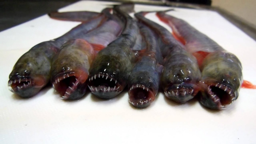 цитаты про грехи. люди не лезьте в чужую жизнь. прощание с любовью. картина совсем чужим стал. не суйте свой нос в чужую жиз.