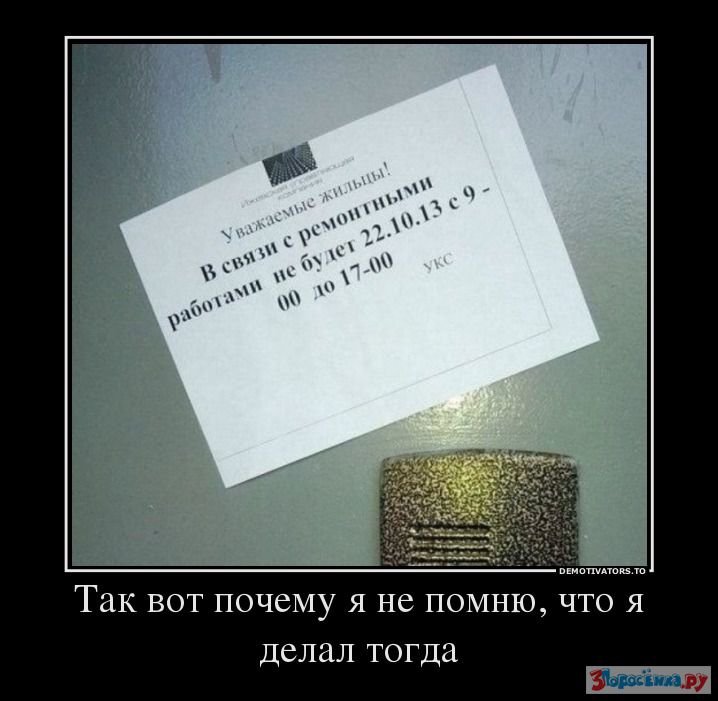 А что они тогда делают. Фразы винни пуха. Мемы с котиками. А что они тогда делают. Известные мемы.