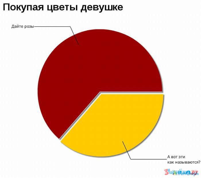 Процент девушек. Смешные опросы диаграммы. Глупые диаграммы. Мужчина диаграмма. Статистика по глупым людям.