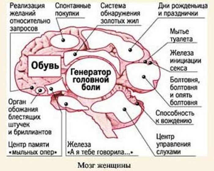 Мысли мужчины и женщины в картинках