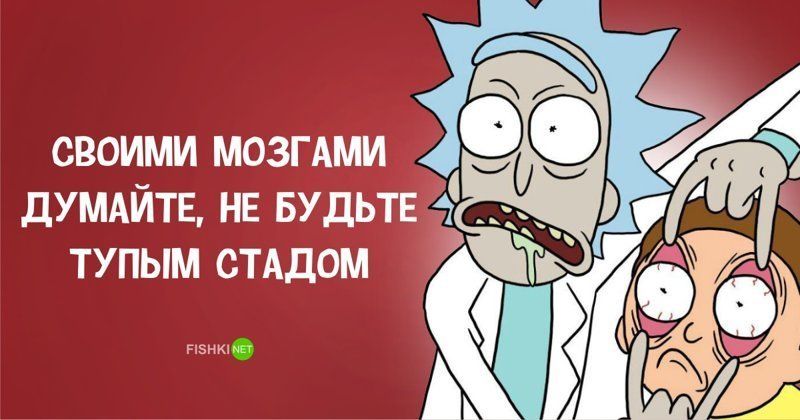 Думай мозгами. Своими мозгами думайте не будьте стадом. Рик и Морти цитаты Рика. Думай своими мозгами. Думать своими мозгами это.