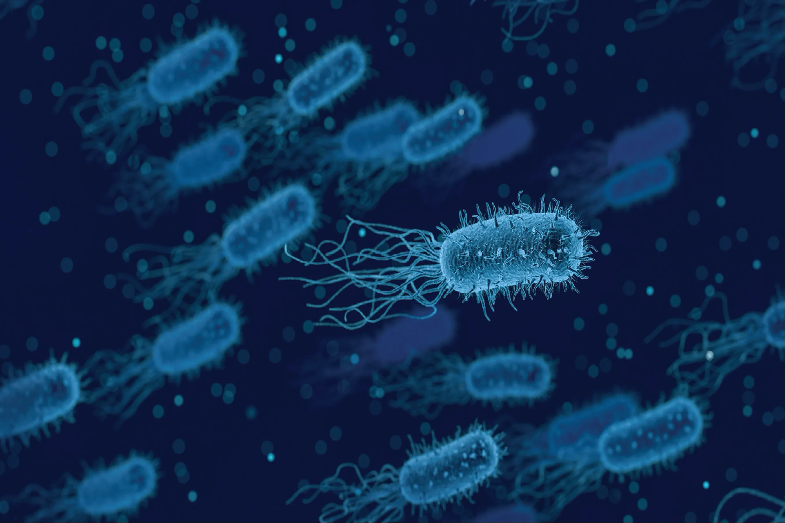 Прокариоты 2 вирусы. Древние бактерии. Красивые микроорганизмы. Опасные бактерии. Бактерии картинки.