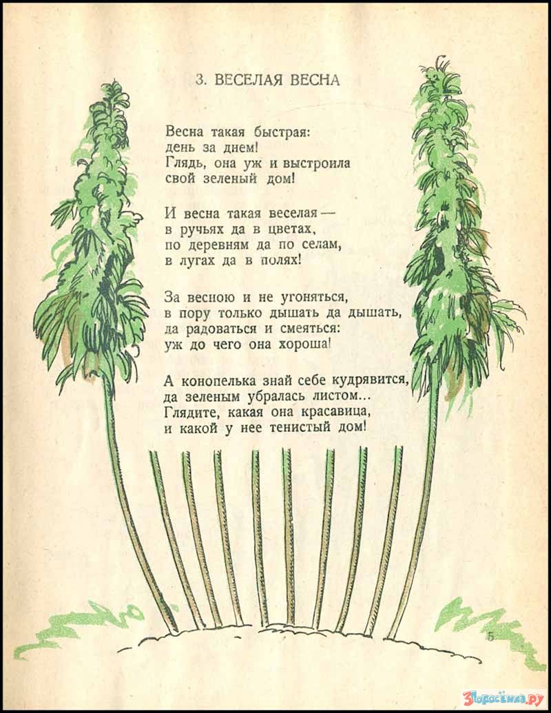 марихуана стихи