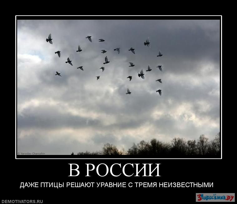 Даже птице. Осенью птицы улетают на ЙУХ. Демотиваторы про знаки судьбы. На всё Воля Божья. Демотиваторы осеннее обострение.