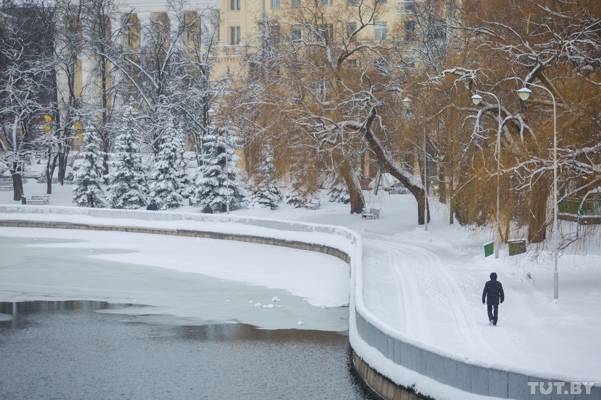 Снег в минске сегодня фото