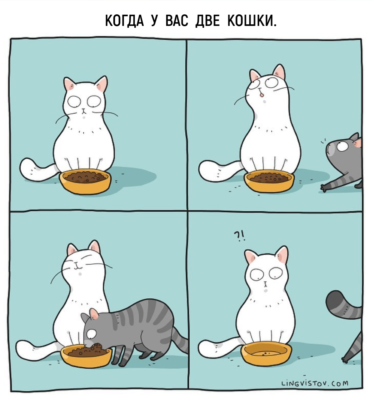 Комикс милый котик