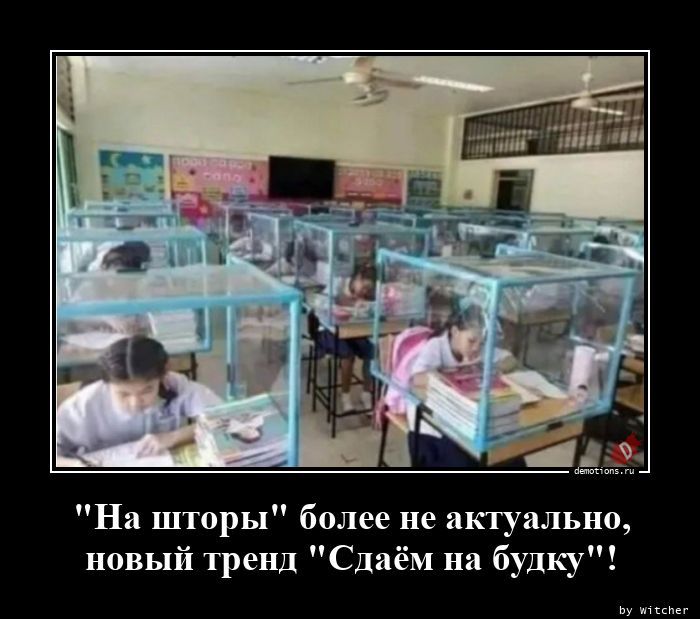 Поздно сдали. Сдаем на шторы. Прикол про сборы денег в школе. Сдаем деньги на шторы. Сдаем деньги на шторы приколы.