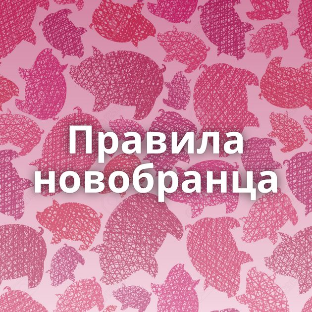 Правила новобранца