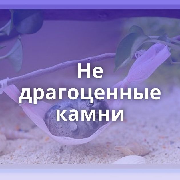 Не драгоценные камни