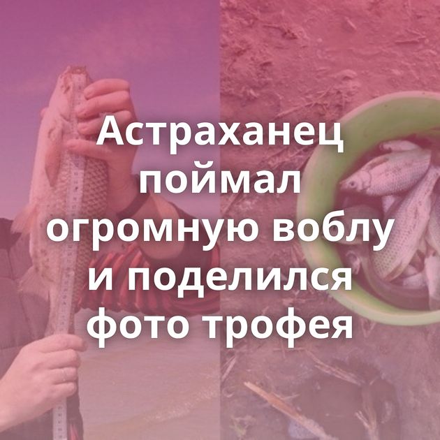 Астраханец поймал огромную воблу и поделился фото трофея