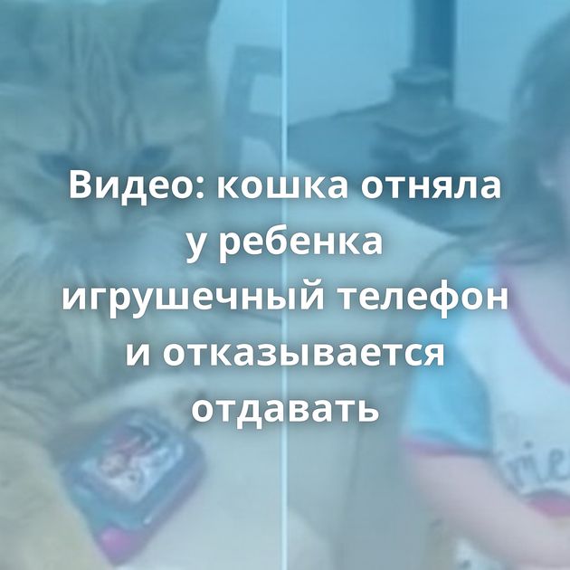 Видео: кошка отняла у ребенка игрушечный телефон и отказывается отдавать