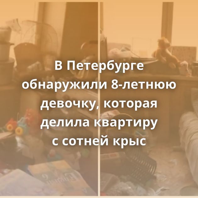 В Петербурге обнаружили 8-летнюю девочку, которая делила квартиру с сотней крыс