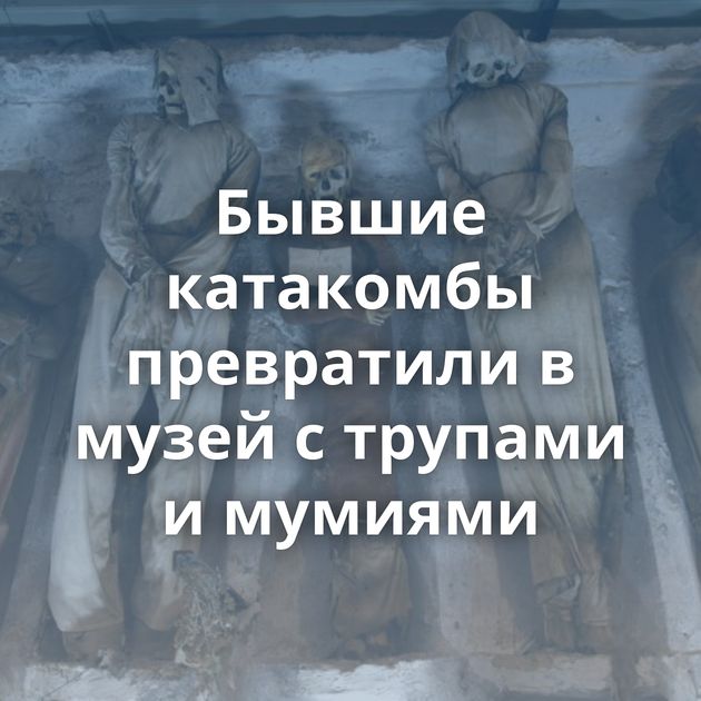 Бывшие катакомбы превратили в музей с трупами и мумиями