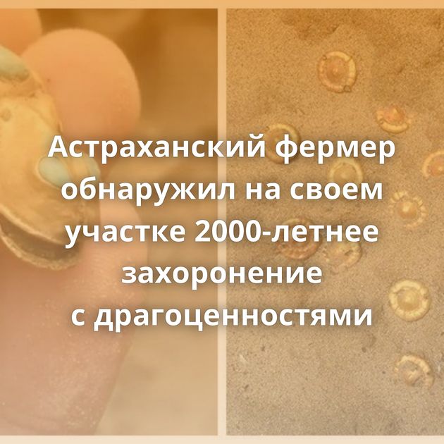 Астраханский фермер обнаружил на своем участке 2000-летнее захоронение с драгоценностями