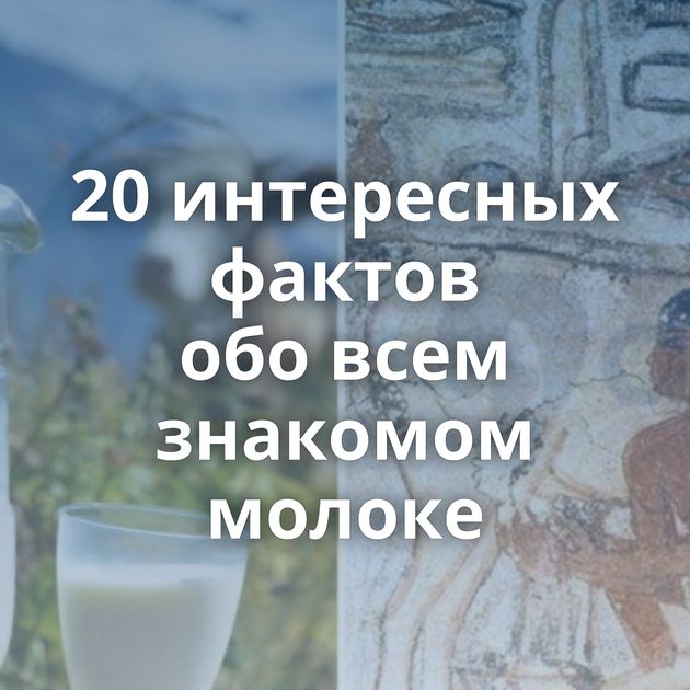 20 интересных фактов обо всем знакомом молоке