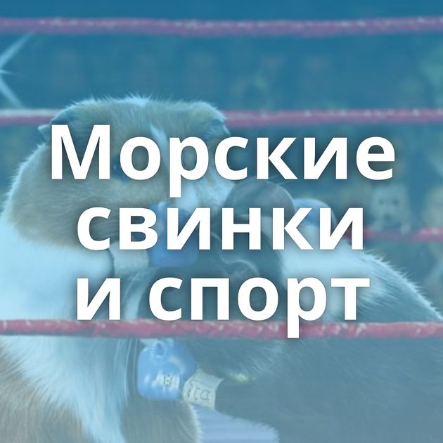 Морские свинки и спорт