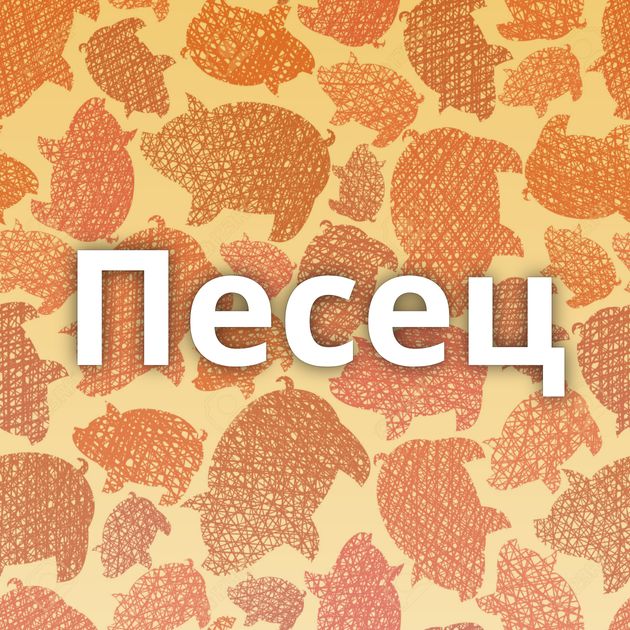 Песец