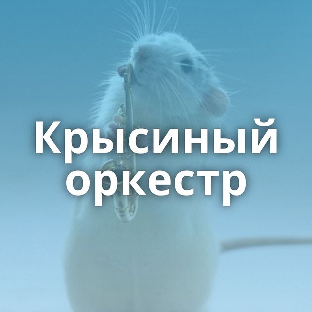 Крысиный оркестр