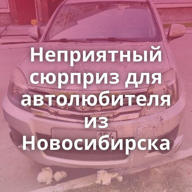 Неприятный сюрприз для автолюбителя из Новосибирска