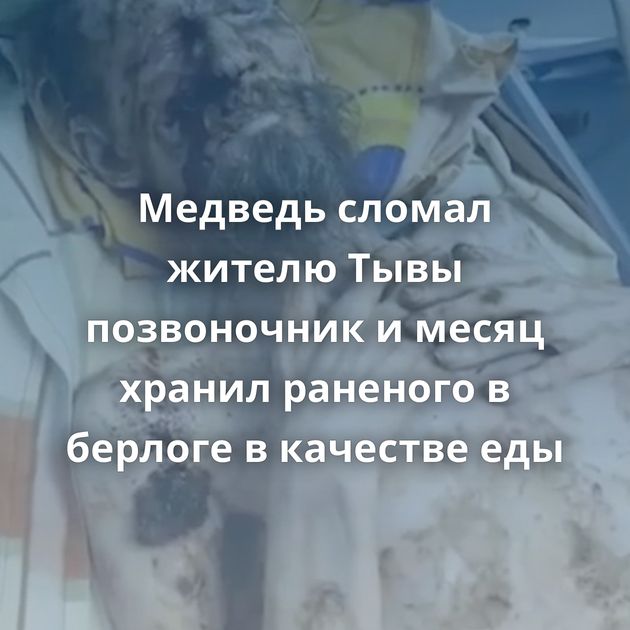 Медведь сломал жителю Тывы позвоночник и месяц хранил раненого в берлоге в качестве еды