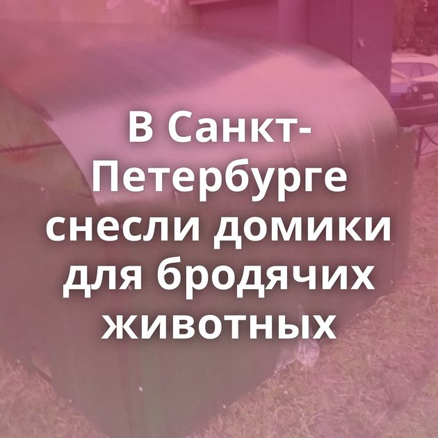В Санкт-Петербурге снесли домики для бродячих животных