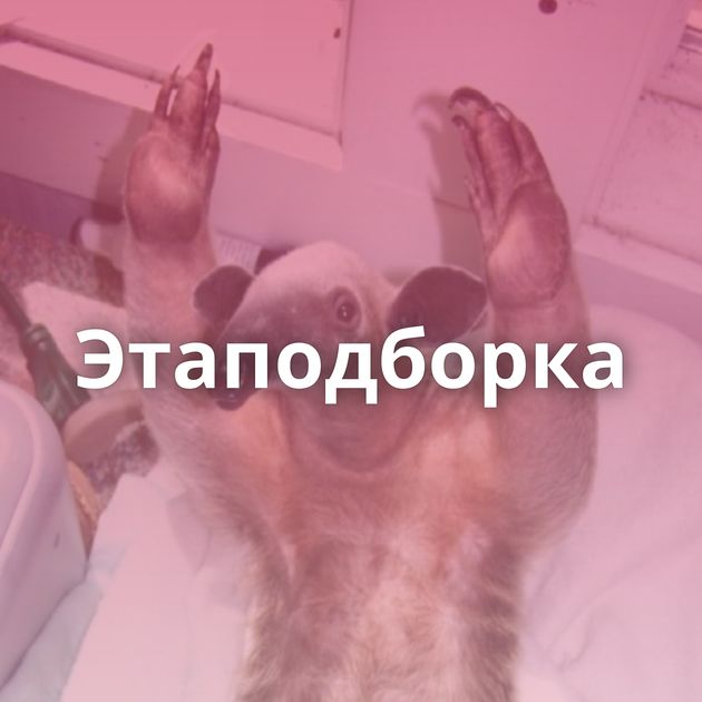 Этаподборка