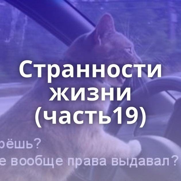 Странности жизни (часть19)