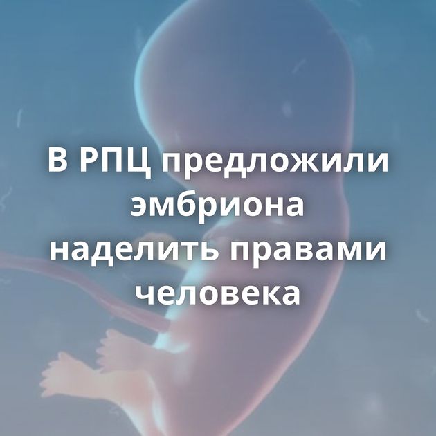 В РПЦ предложили эмбриона наделить правами человека