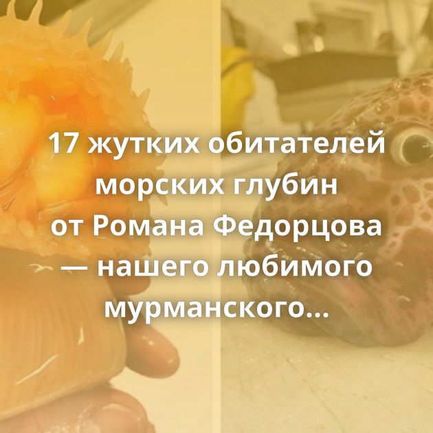 17 жутких обитателей морских глубин от Романа Федорцова — нашего любимого мурманского рыбака