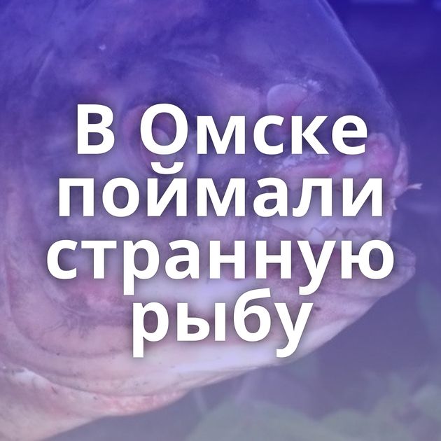 В Омске поймали странную рыбу