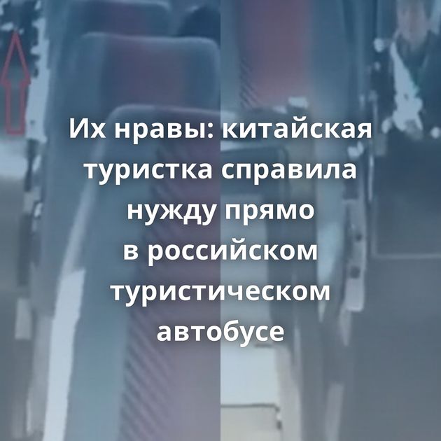 Их нравы: китайская туристка справила нужду прямо в российском туристическом автобусе
