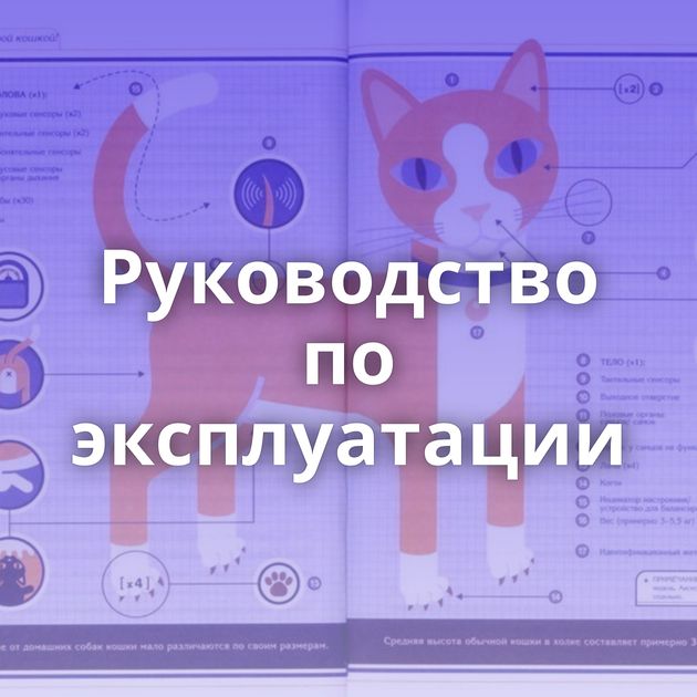 Руководство по эксплуатации