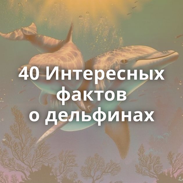 40 Интересных фактов о дельфинах