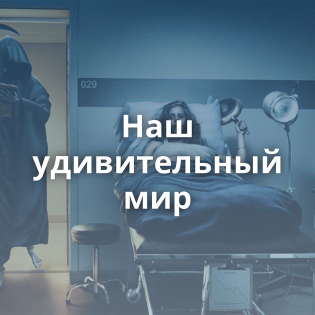 Наш удивительный мир