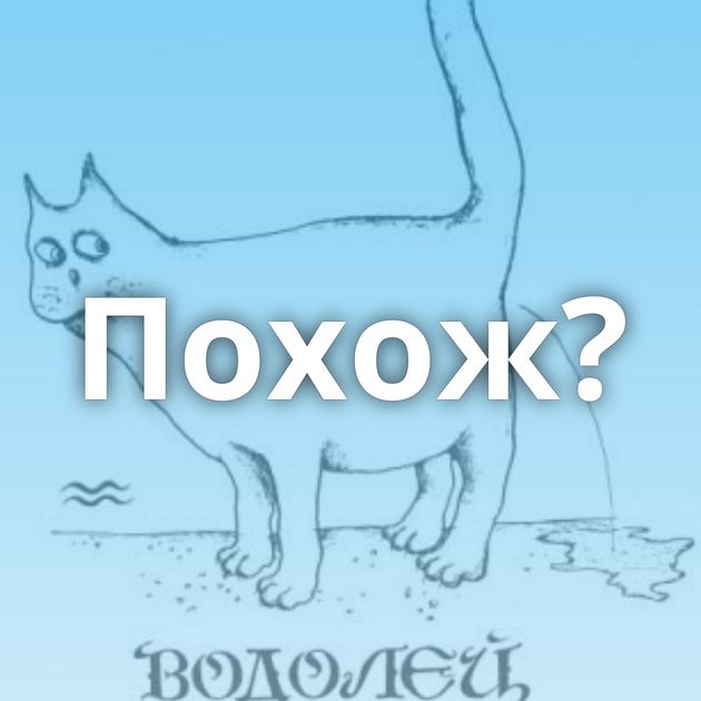 Похож?