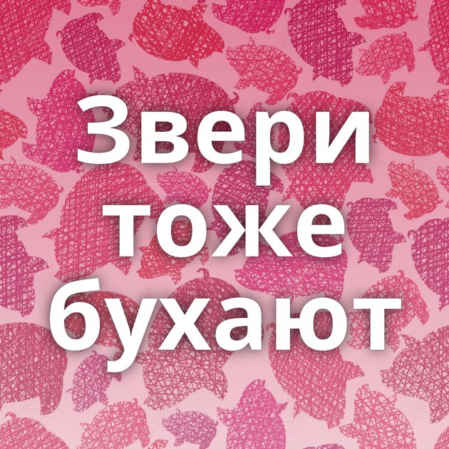 Звери тоже бухают