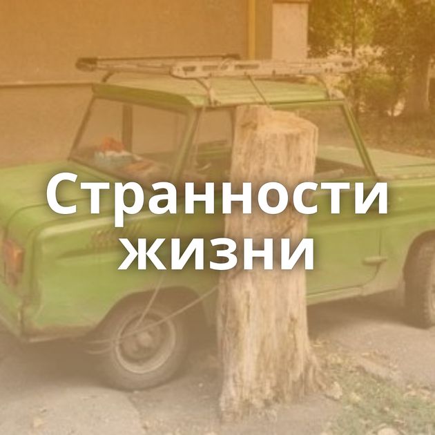 Странности жизни