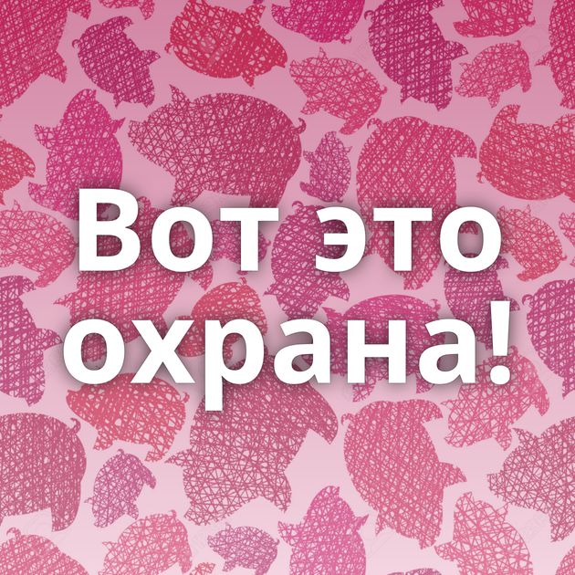Вот это охрана!