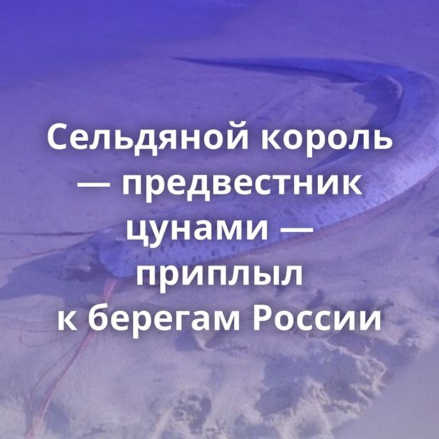 Сельдяной король — предвестник цунами — приплыл к берегам России