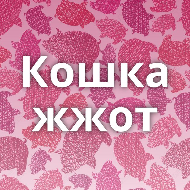 Кошка жжот